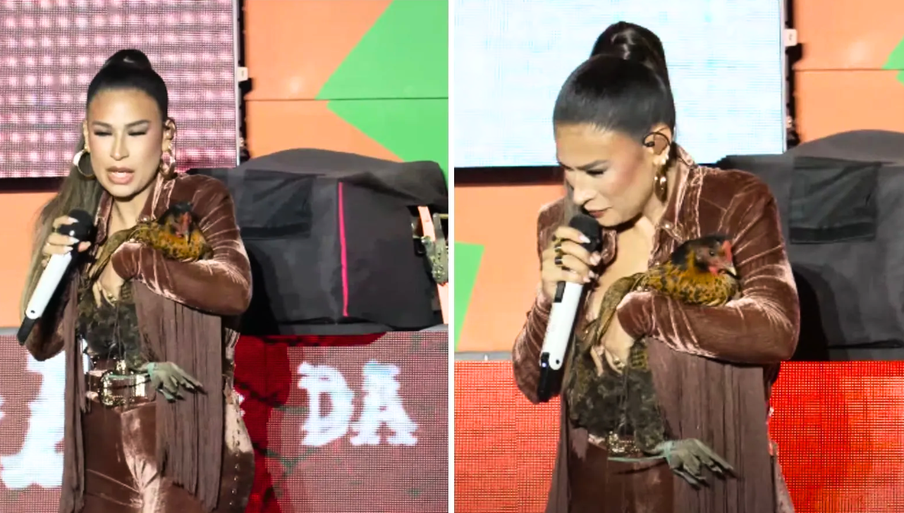 Simone Mendes ganha galinha durante show, batiza como Jurema e