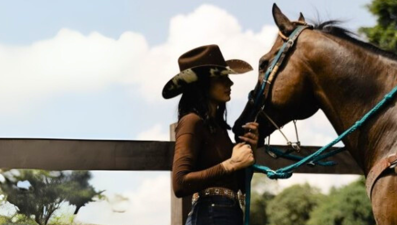 Ana Castela e Luísa Mell cobram justiça a cavalo mutilado